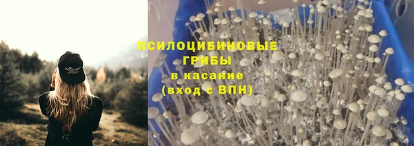 ГАЛЛЮЦИНОГЕННЫЕ ГРИБЫ Михайлов