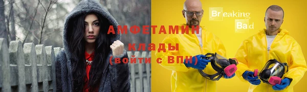 ГАЛЛЮЦИНОГЕННЫЕ ГРИБЫ Михайлов