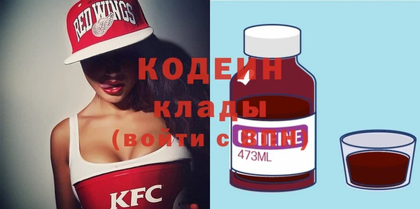 ГАЛЛЮЦИНОГЕННЫЕ ГРИБЫ Михайлов