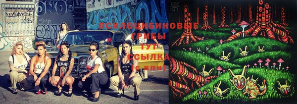 ГАЛЛЮЦИНОГЕННЫЕ ГРИБЫ Михайлов