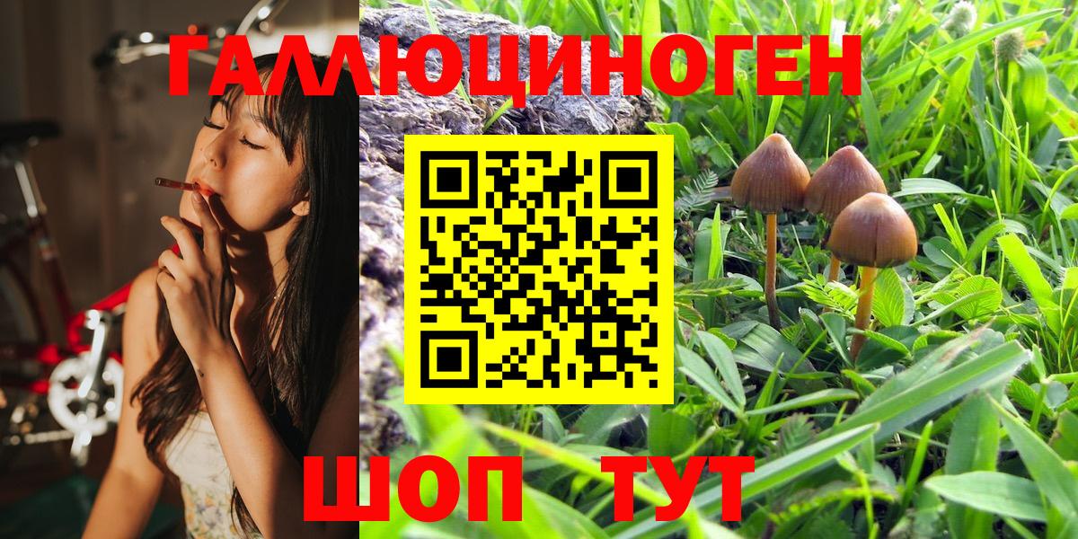 Галлюциногенные грибы мухоморы Новошахтинск