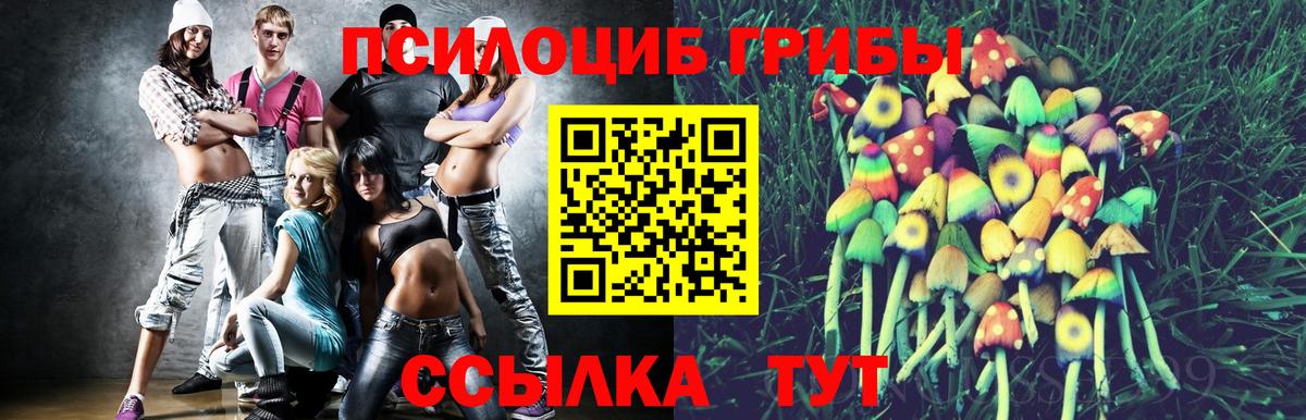 Галлюциногенные грибы Psilocybe Новошахтинск