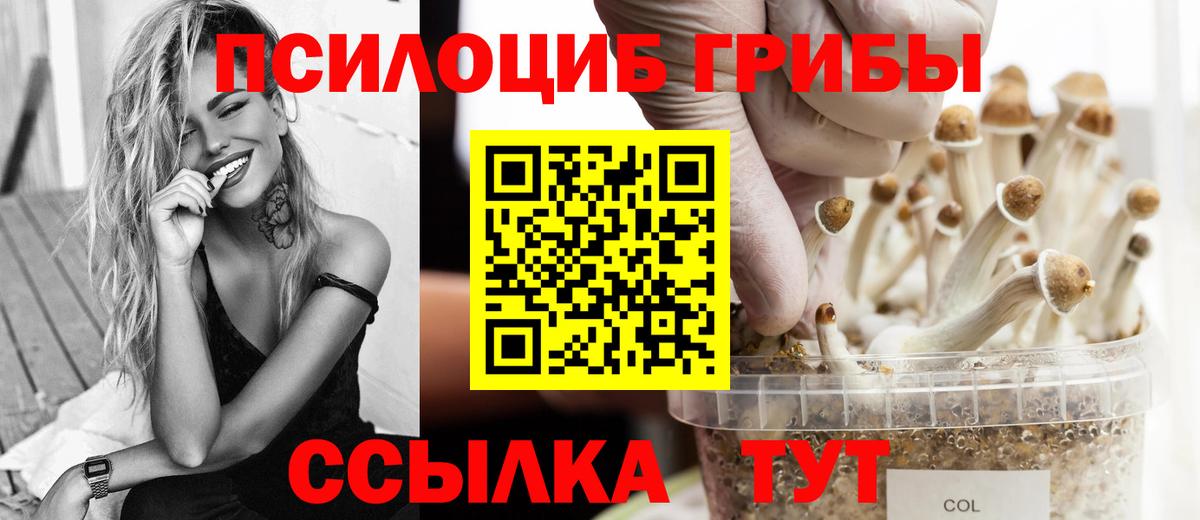 Галлюциногенные грибы прущие грибы  Галлюциногенные грибы Psilocybine cubensis  Вход с VPN  купить закладку  Новошахтинск 